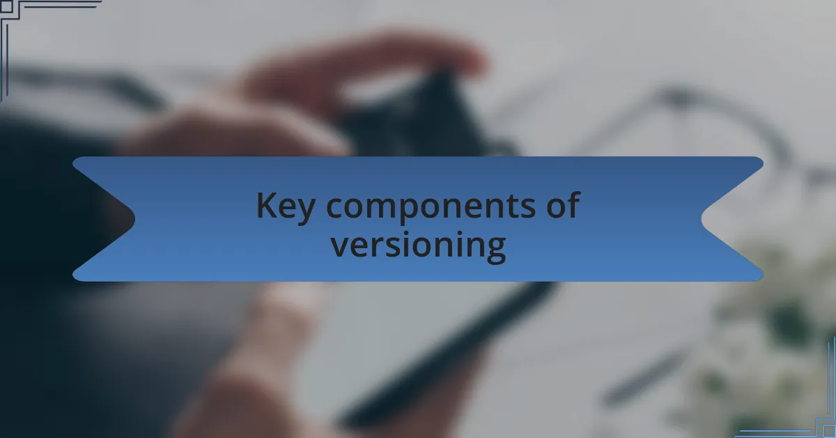 Key components of versioning